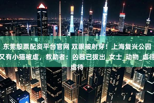 东莞股票配资平台官网 双眼被射穿！上海复兴公园又有小猫被虐，救助者：凶器已拔出_女士_动物_虐待