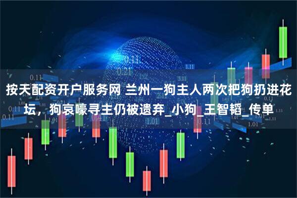 按天配资开户服务网 兰州一狗主人两次把狗扔进花坛，狗哀嚎寻主仍被遗弃_小狗_王智韬_传单