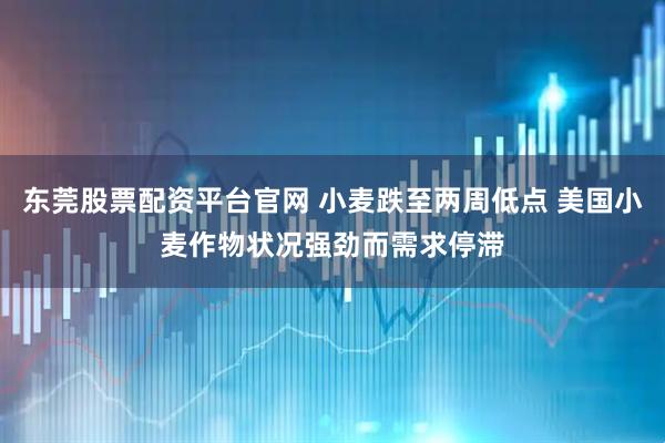 东莞股票配资平台官网 小麦跌至两周低点 美国小麦作物状况强劲而需求停滞
